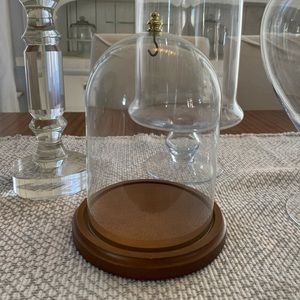Vintage Glass Bell Jar Display